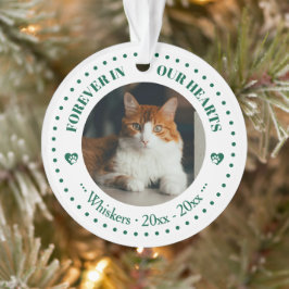Onze katten voor altijd in ons hart Foto- en naamh Ornament