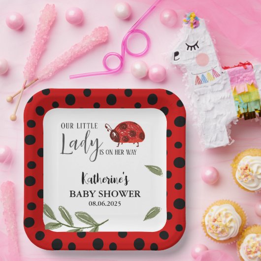 Onze kleine dame is op weg meisje baby shower papieren bordje (Feest)