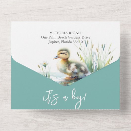 Onze kleine eendje Waterverf Baby shower All In One Uitnodiging (Achterkant)