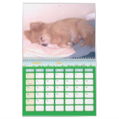 Onze kleine hond, Sir Bark, een partij Kalender (Mar 2026)
