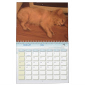 Onze kleine hond, Sir Bark, een partij Kalender (Feb 2026)