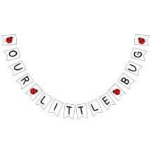 Onze kleine insectenbanner, ladybug banner, verjaa