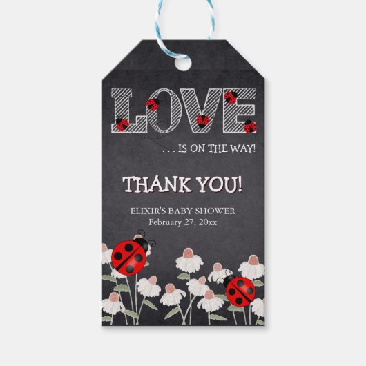 Onze kleine liefde bug schoolbord Baby shower Cadeaulabel (Voorkant)