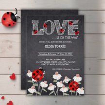 Onze kleine liefde bug schoolbord Baby shower