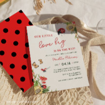 Onze Kleine Lieve Bug Ladybug Meisje Baby Shower