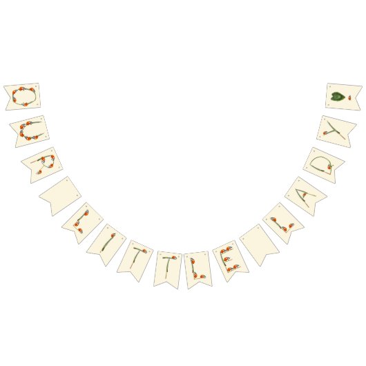 Onze kleine lieveheersbeestje wordt een - eerste v vlaggetjes (Alle)