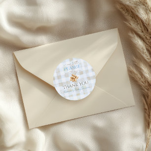 Onze Kleine Pinda Jongen Blauwe Gingham Baby Showe Ronde Sticker