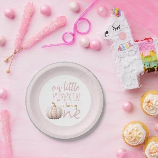 Onze kleine pompoen 1e verjaardag roze rand papieren bordje (Feest)