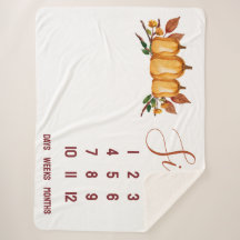 Onze kleine pompoen, bloemige Baby mijlpaal