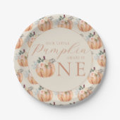 Onze kleine pompoen is één 1e verjaardag papieren bordje (Voorkant)