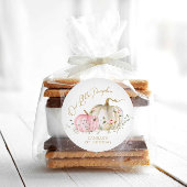 Onze Kleine Pompoen Meisje Verjaardag Ronde Sticker