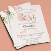 Onze kleine pompoen voor de eerste jaarbegroting