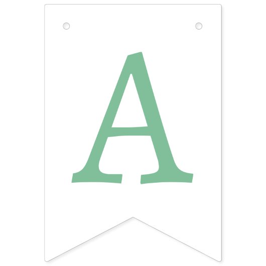 Onze kleine pompoenmunt/roze verjaardagsfeestje vlaggetjes (Derde vlag)