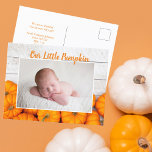 Onze kleine pompoThanksgiving Newborn Foto Briefkaart<br><div class="desc">Dit mooie,  moderne Thanksgiving pasgeboren briefkaart bevat een foto van je zoete nieuwe baby onder de woorden Our Little Pumpkin in oranje. Deze  herfstfoto met trendy wit hout achter de pleister van pompen is een elegant briefkaart voor geboorteaankondiging voor Halloween of Thanksgiving.</div>