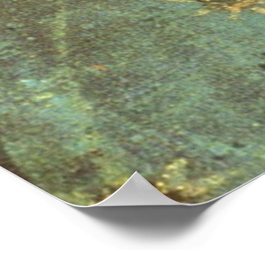 ONZE LADY GUADALUPE POSTER (Hoek)