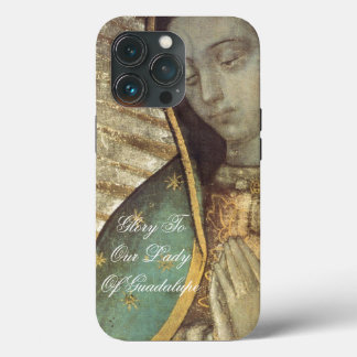 ONZE LADY OF GUADALUPE iPhone 13 Pro Hoesjes