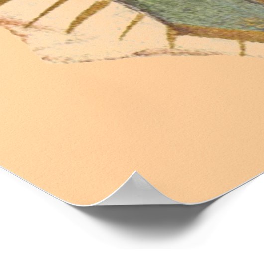 ONZE LADY VAN GUADALUPE 24 x 43 Poster (Hoek)