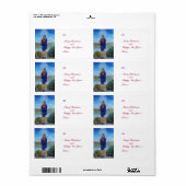 ONZE LADY VAN LICHTE Madonna van maculair begrip Etiket (Full Sheet)