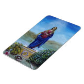 ONZE LADY VAN LICHTE Madonna van maculair begrip Magneet (Linkerzijde)