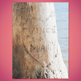 Onze liefde is gekarteld op een boomweefselpapier tissuepapier