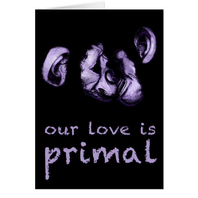 onze liefde is oer : zoende chimps (Voorkant)