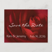 Onze Liefde Romantisch Save the Date Aankondigingskaart (Voorkant)