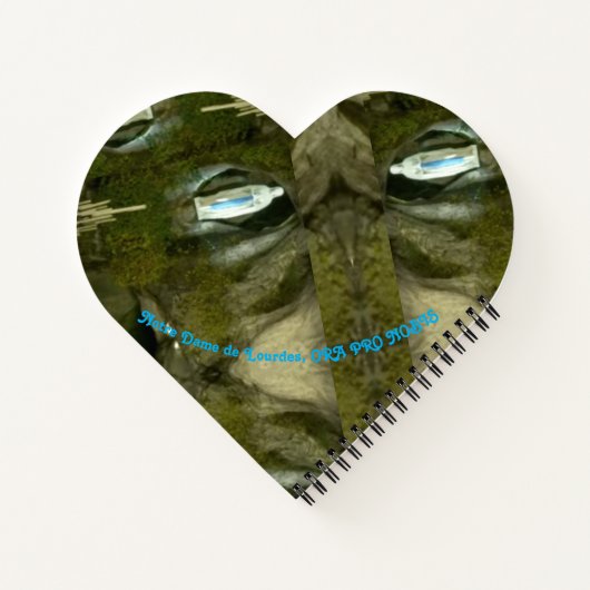 Onze Lieve Vrouw van Lourdes Notitieboek (Achterkant)