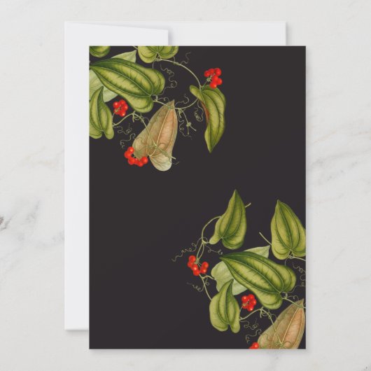 Onze Lil Devil Birthday Invitation Kaart (Achterkant)