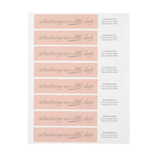 Onze Little Lady Birth Announounge Adres Label (Vel)