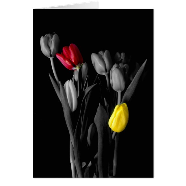 Onze Love-Tulip-kaart (Voorkant)