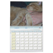 Onze Mango Puppy Kalender (Jan 2027)