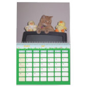 Onze Mango Puppy Kalender (Mar 2027)