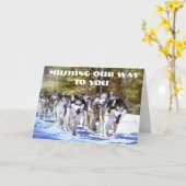 ONZE MANIER NAAR U VERDWIJNEN KAART (Gele Bloem)