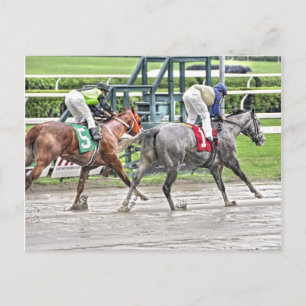 Onze meneer briefkaart