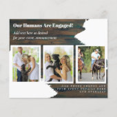 ONZE Mensen zijn GEENGAGEERD - HUISDIERFOTO Betrok (Voorkant)