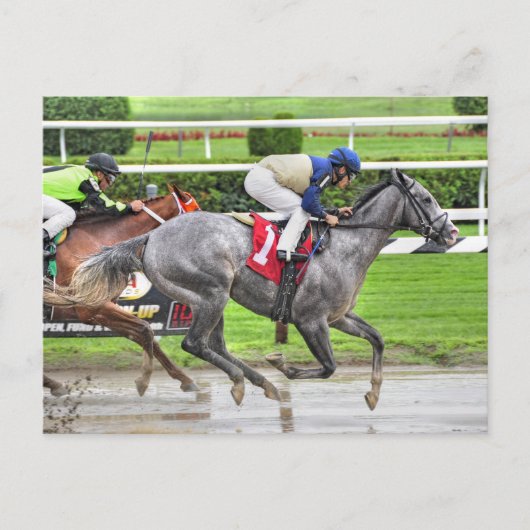 Onze Mister en Junior Alvarado Briefkaart (Voorkant)