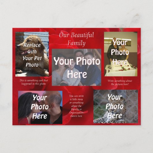 Onze mooie familiefoto's over rode rozen briefkaart (Voorkant)