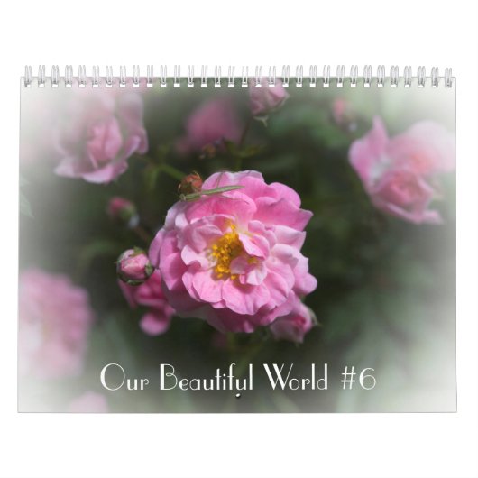 Onze mooie wereldagenda #6 kalender (Hoes)