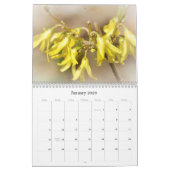 Onze mooie wereldagenda #6 kalender (Jan 2026)