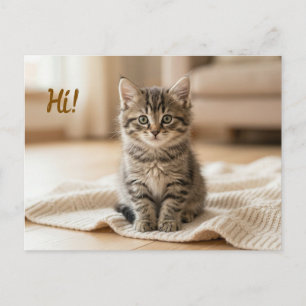Onze Nieuwe Kitten Foto Aankondiging  Briefkaart