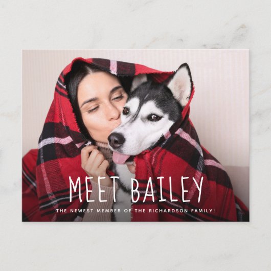 Onze nieuwe Pet Dog | Eenvoudige aankondiging foto (Voorkant)