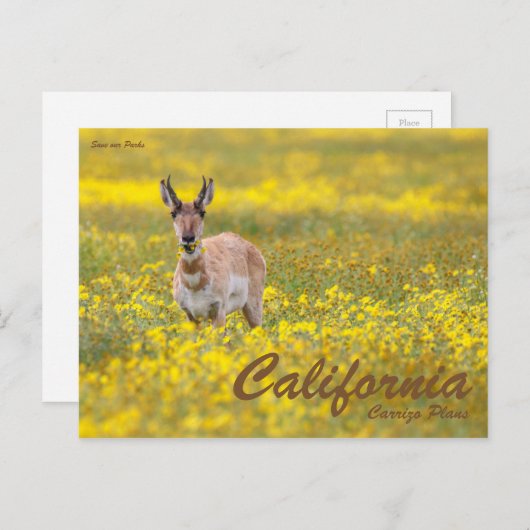 Onze parken opslaan briefkaart (Voorkant / Achterkant)