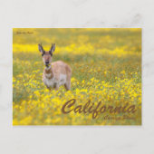 Onze parken opslaan briefkaart (Voorkant)