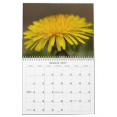 Onze prachtige wereld #7 kalender (Mar 2027)