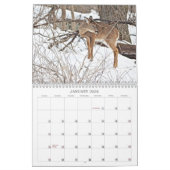 Onze prachtige wereld #7 kalender (Jan 2026)