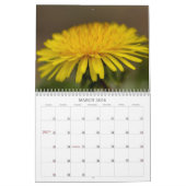 Onze prachtige wereld #7 kalender (Mar 2026)