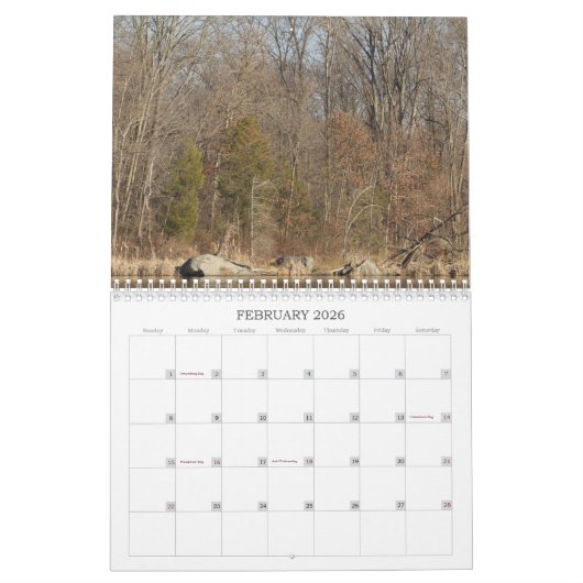 Onze prachtige wereld #7 kalender (Feb 2026)