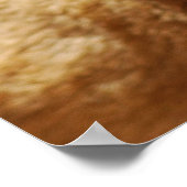 Onze schattige leeuwgezichten poster (Hoek)