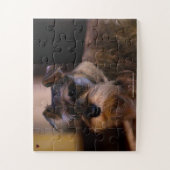 Onze Schnauzer Ons Huisdier Legpuzzel (Verticaal)