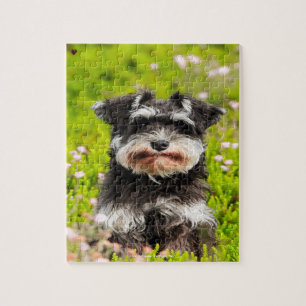 Onze Schnauzer Ons Huisdier Legpuzzel